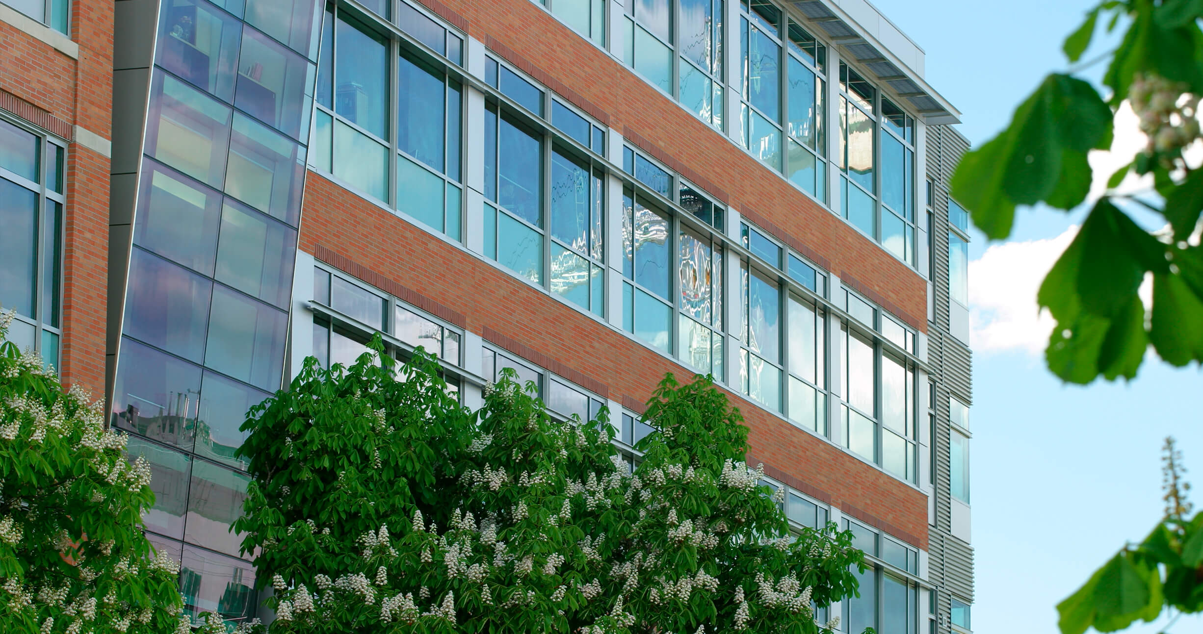 seattle biomed 4